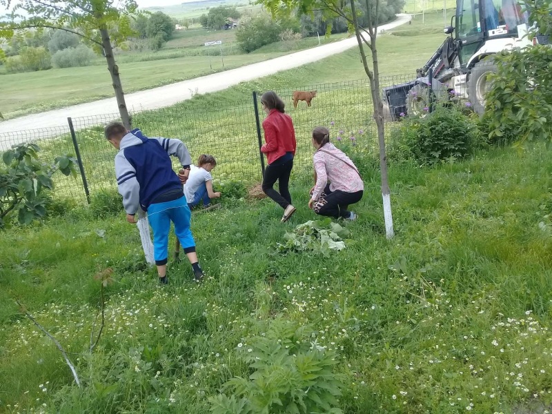 Foto-simbol