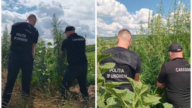 Sursa foto: Inspectoratul General de Carabinieri al MAI
