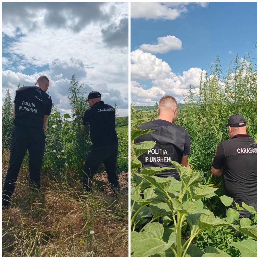 Sursa foto: Inspectoratul General de Carabinieri al MAI